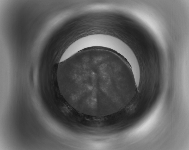 X0000093470382200711091612