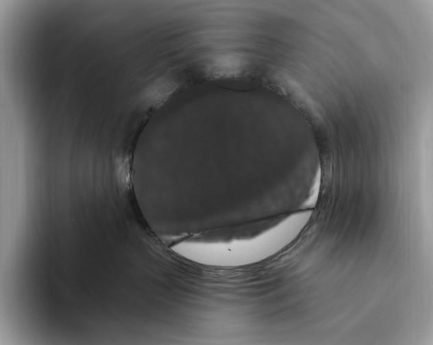 X0000093470383200711091612