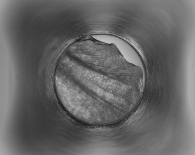 X0000093470385200711091612