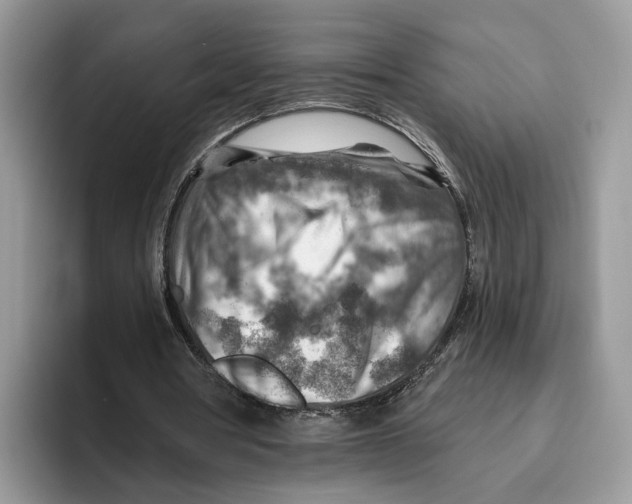 X0000093470386200711091612