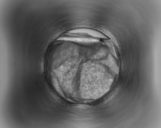 X0000093470393200711091612