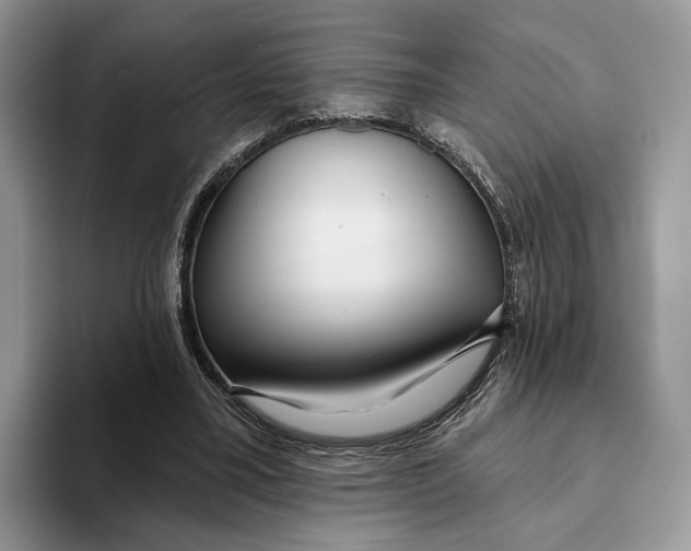 X0000093470395200711091611