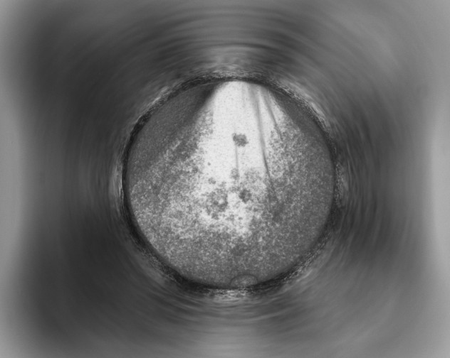 X0000093470398200711091611