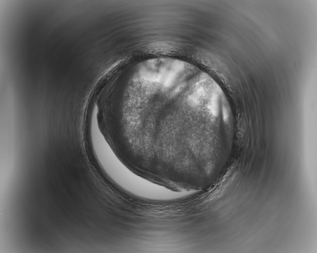 X0000093470399200711091611