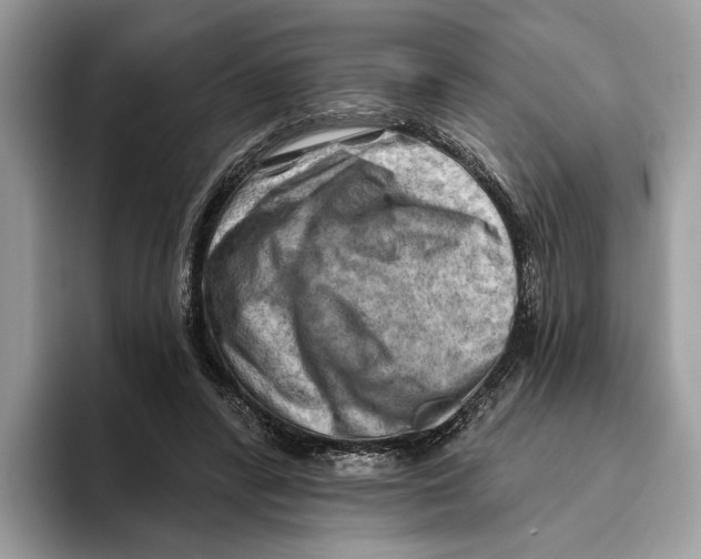 X0000093470400200711091611