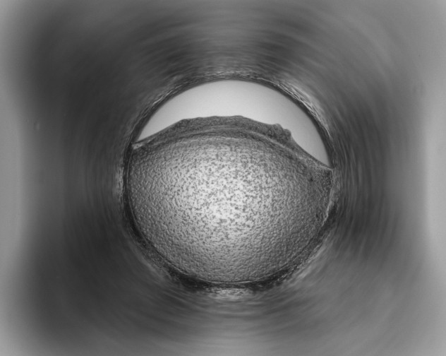 X0000093470401200711091611