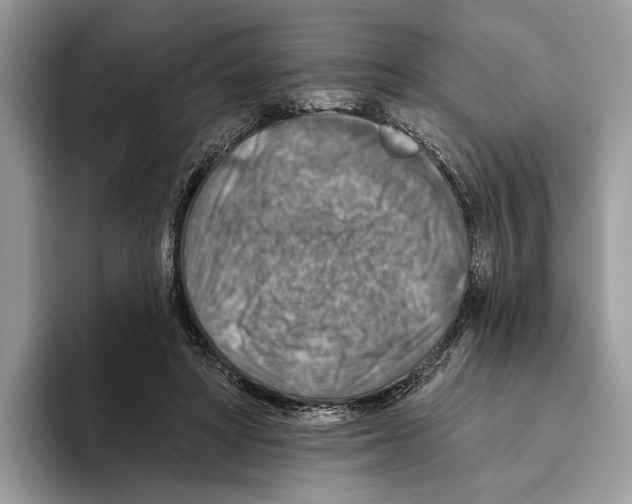 X0000093470402200711091611