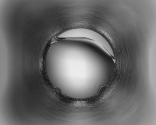 X0000093470403200711091611