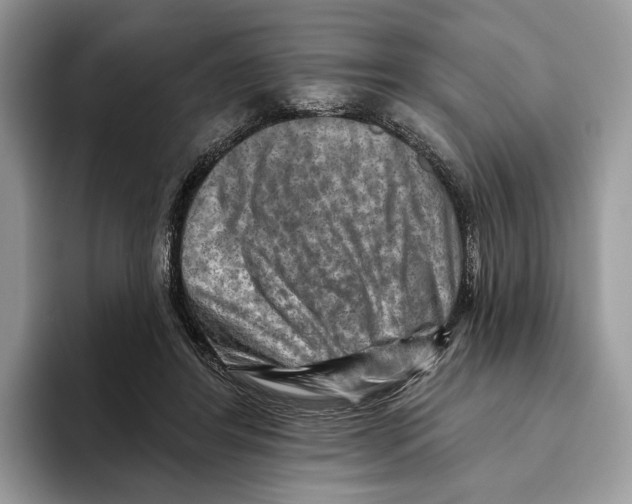X0000093470404200711091611