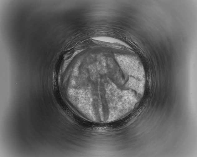 X0000093470408200711091611