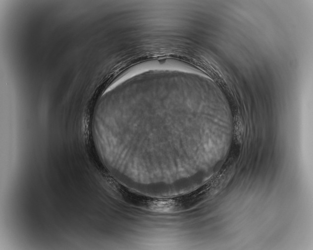 X0000093470410200711091611