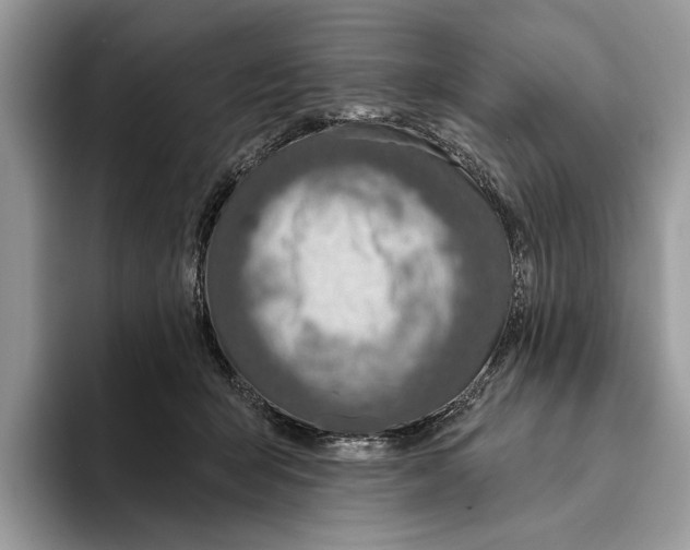 X0000093470415200711091611