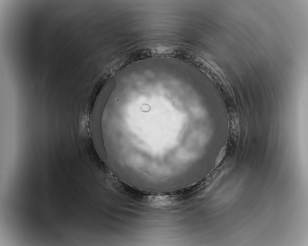 X0000093470419200711091611