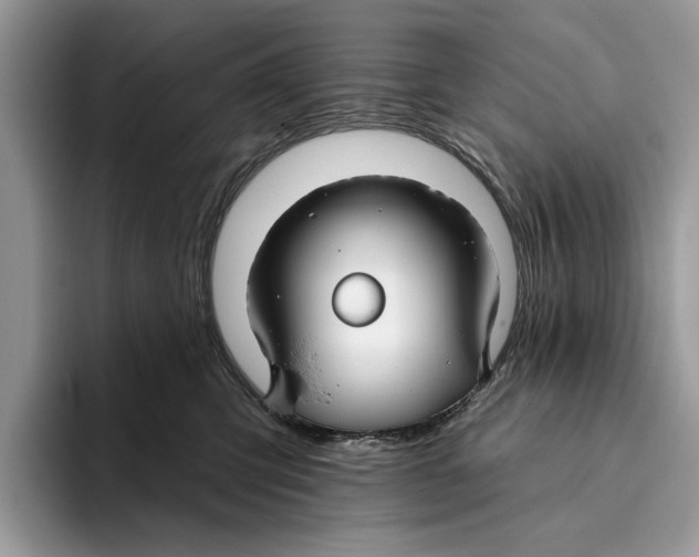 X0000093470423200711091611