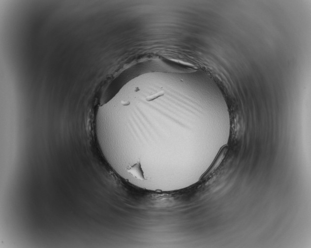 X0000093470424200711091611