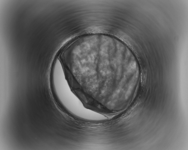 X0000093470438200711091611