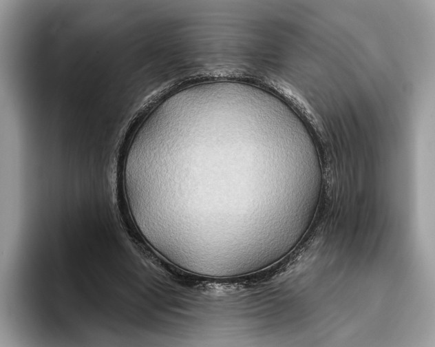 X0000093470442200711091611
