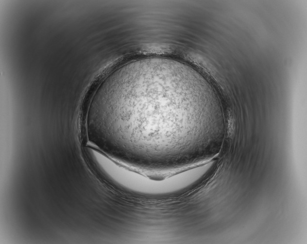 X0000093470444200711091611