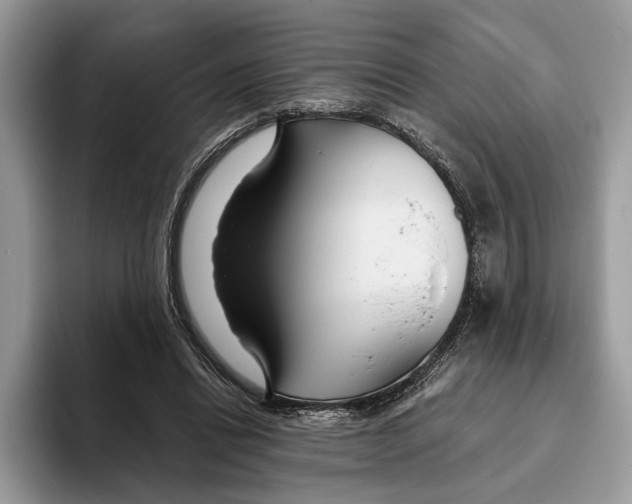 X0000093470446200711091611
