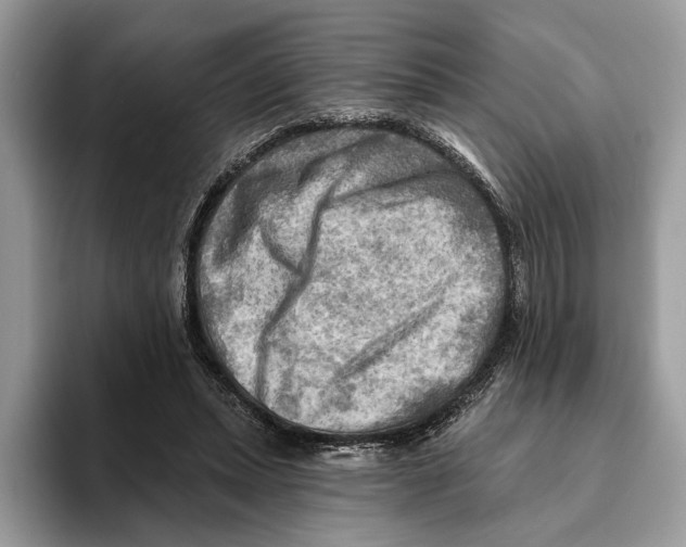 X0000093470447200711091611