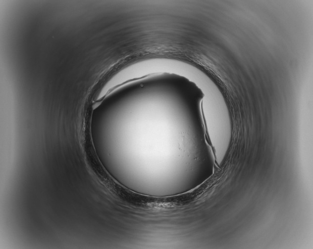 X0000093470448200711091611