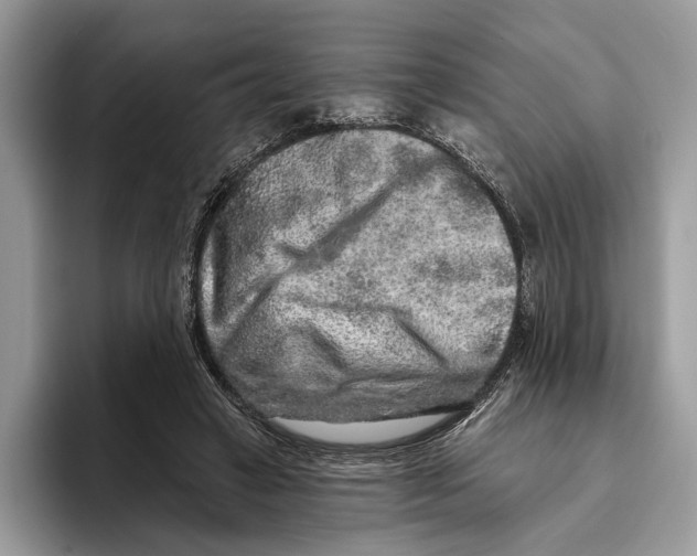 X0000093470449200711091611