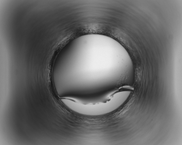 X0000093470450200711091611