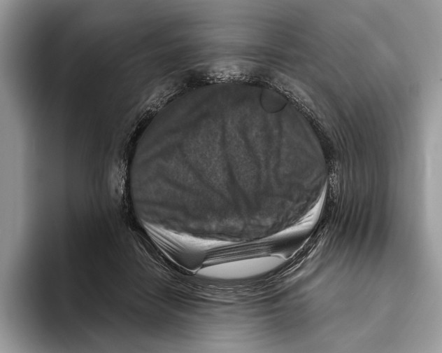 X0000093470458200711091611