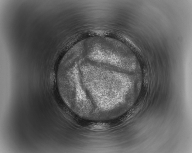 X0000093470459200711091611