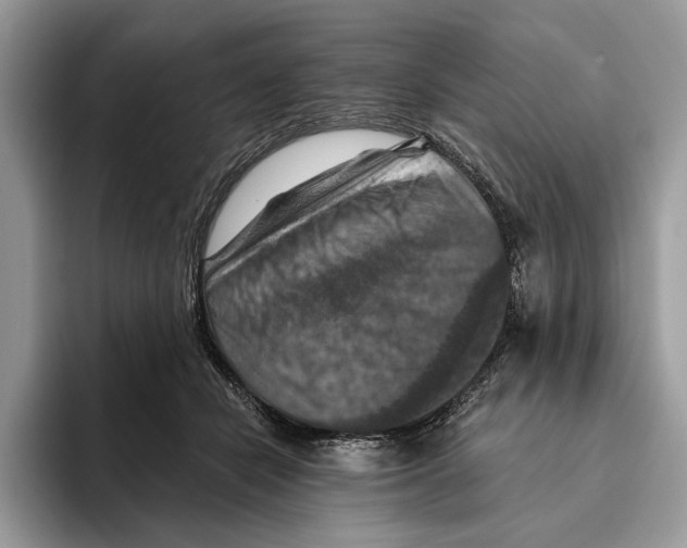 X0000093470462200711091611