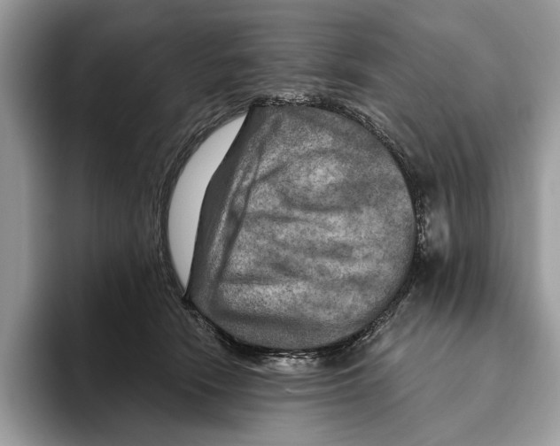 X0000093470466200711091611