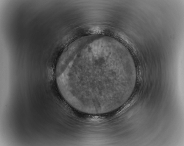 X0000093470467200711091611