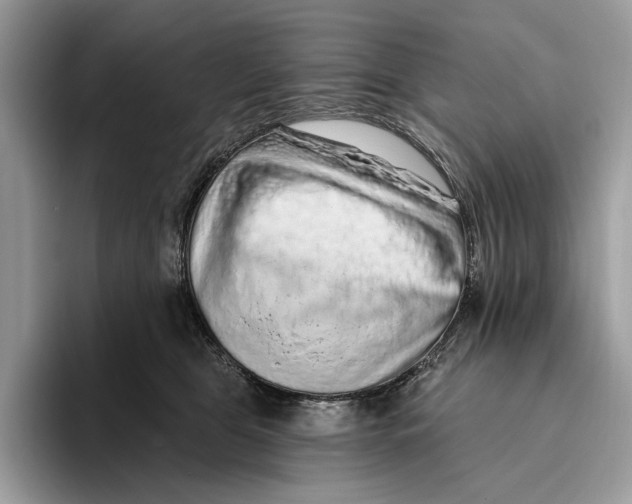 X0000093470469200711091611