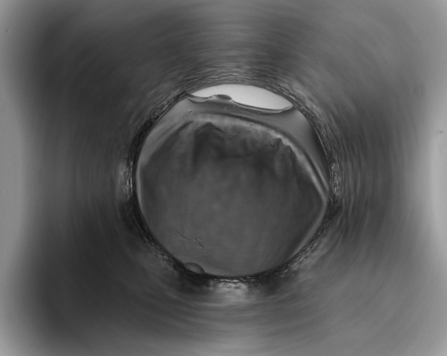X0000093470471200711091611