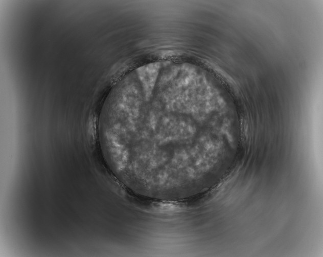 X0000093470475200711091611