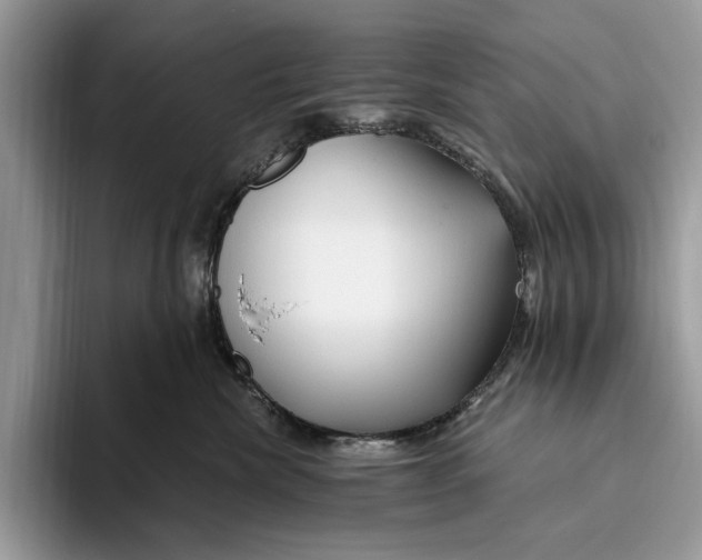 X0000093470476200711091611