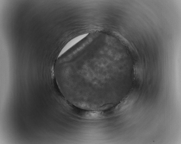 X0000093470479200711091611
