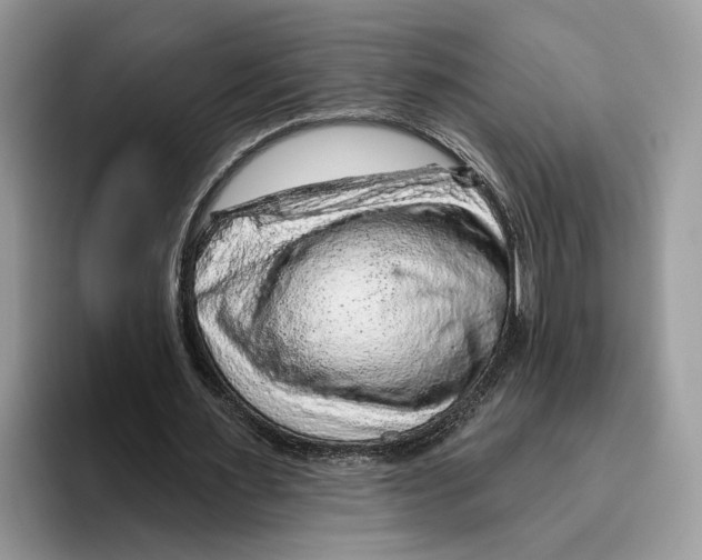 X0000093470483200711091610