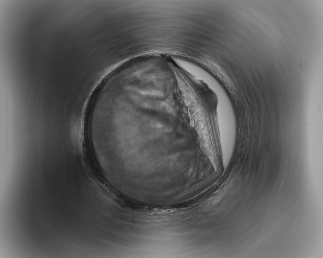 X0000093470484200711091610