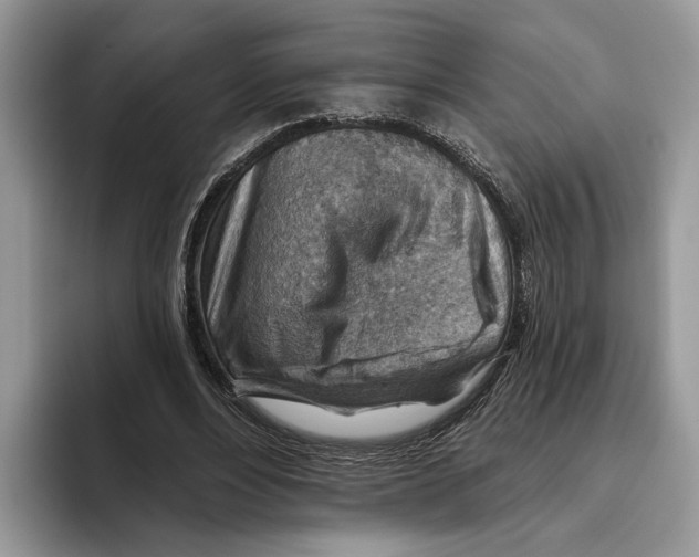 X0000093470488200711091610
