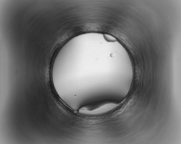 X0000093470489200711091610