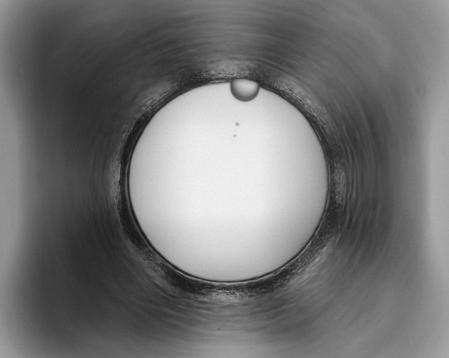 X0000093470490200711091610