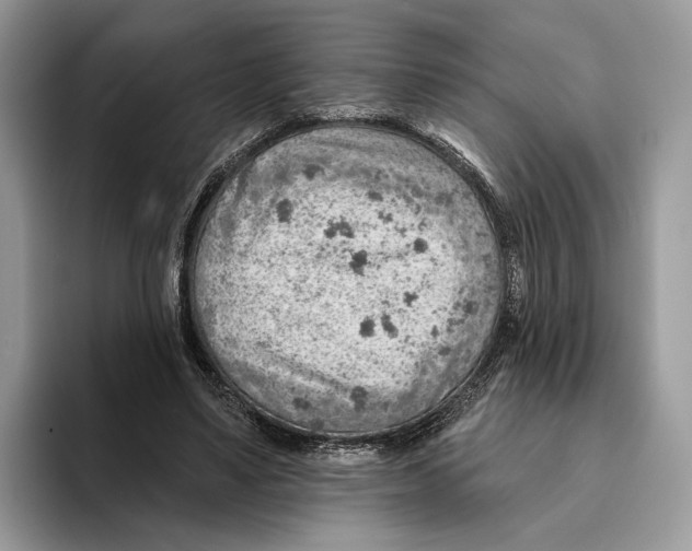 X0000093470491200711091610
