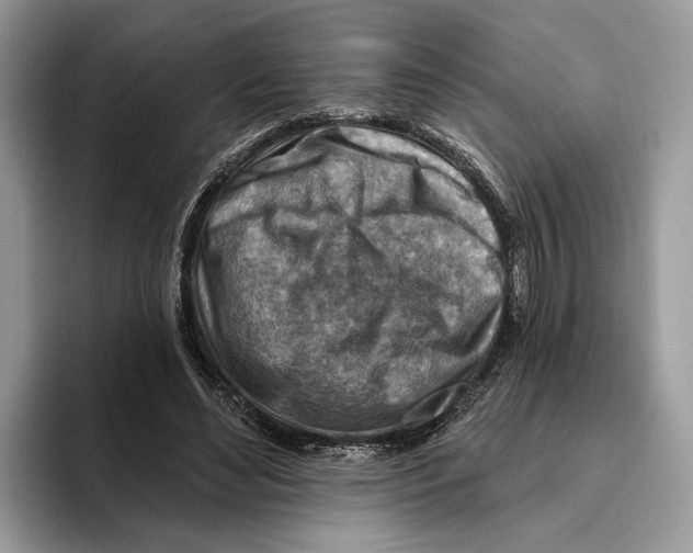 X0000093470492200711091610