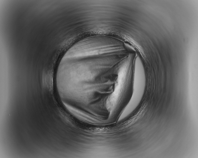 X0000093470493200711091610