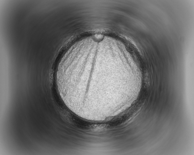 X0000093470495200711091610