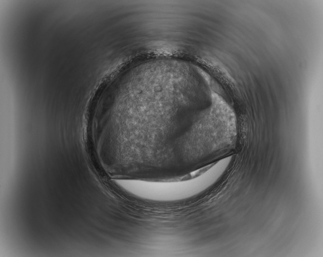 X0000093470496200711091610