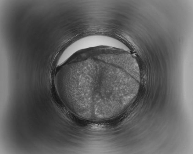 X0000093470500200711091610