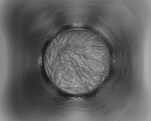 X0000093470502200711091610