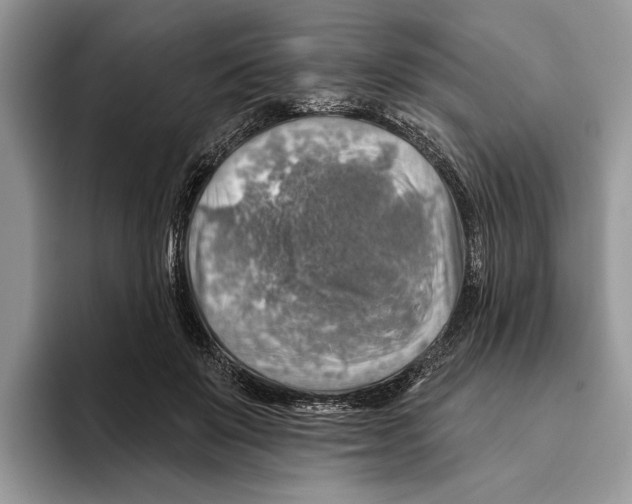 X0000093470503200711091610